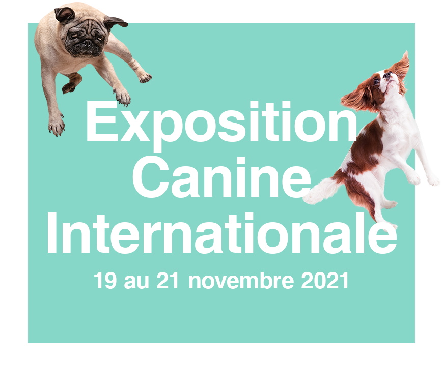 Vignette Exposition Canine Internationale 2021