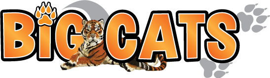 Logo Big Cats Exposition Bricklive