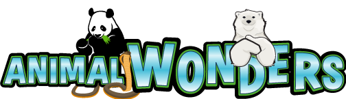 Logo Animal Wonders Exposition Bricklive