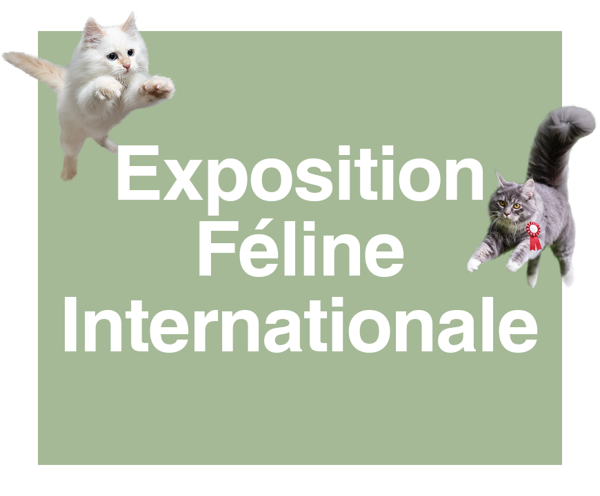 Exposition Féline Internationale