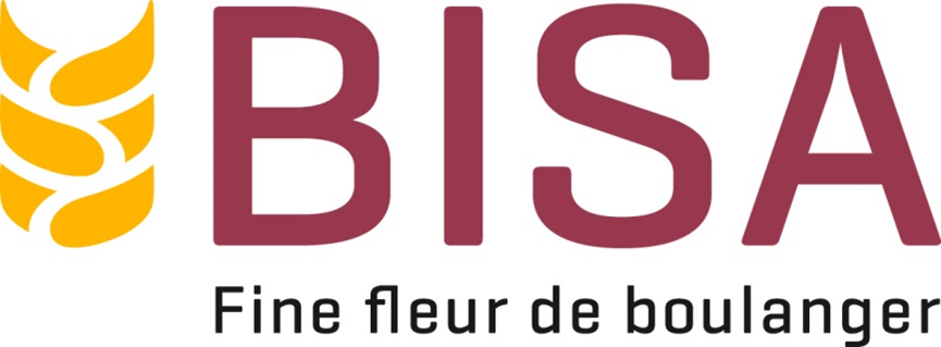BISA - logo