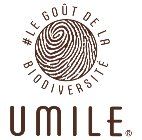 Logo Umile